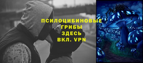 спайс Арсеньев