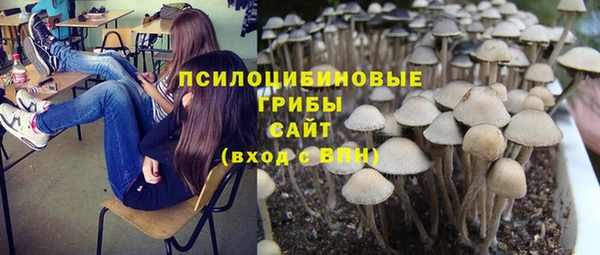 соль ск Аркадак