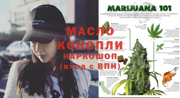 спайс Арсеньев