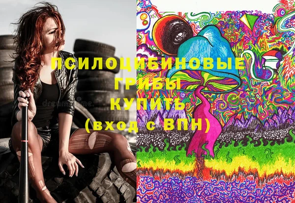 соль ск Аркадак
