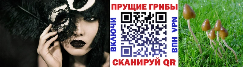Галлюциногенные грибы мицелий  Купить закладки  Семикаракорск 