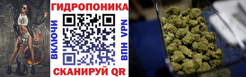 Каннабис план  Купить закладки  Семикаракорск 